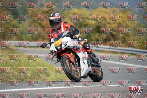 Passo della Futa E 11-10-25 h12-08 0697