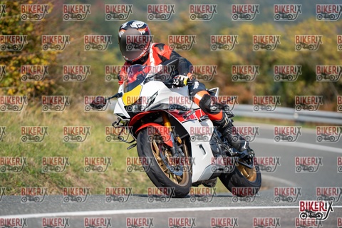 Passo della Futa E 11-10-25 h12-08 0698