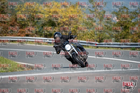 Passo della Futa E 11-10-25 h12-11 0722