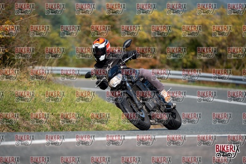 Passo della Futa E 11-10-25 h12-11 0728