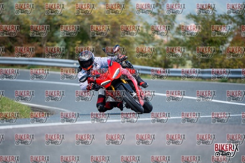 Passo della Futa E 11-10-25 h12-12 0734