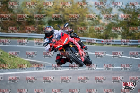 Passo della Futa E 11-10-25 h12-12 0735