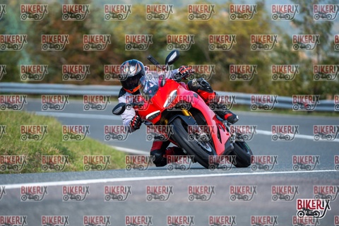 Passo della Futa E 11-10-25 h12-12 0736