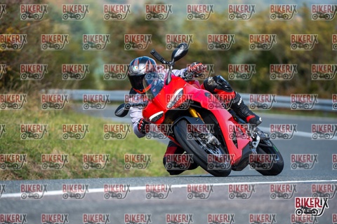 Passo della Futa E 11-10-25 h12-12 0737