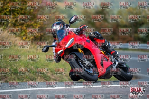 Passo della Futa E 11-10-25 h12-12 0738