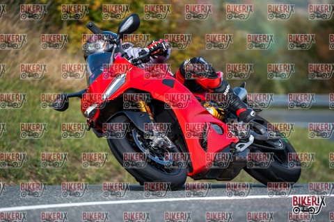 Passo della Futa E 11-10-25 h12-12 0739