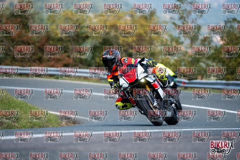 Passo della Futa E 11-10-25 h12-12 0747