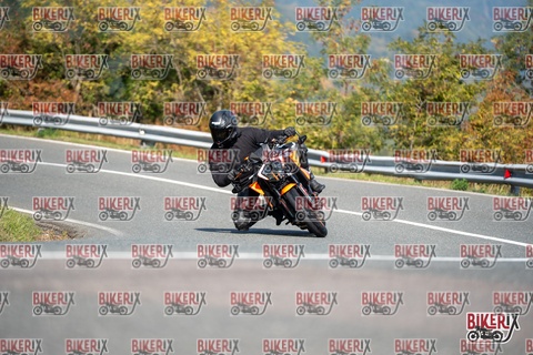 Passo della Futa E 11-10-25 h12-15 0784