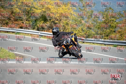 Passo della Futa E 11-10-25 h12-15 0785