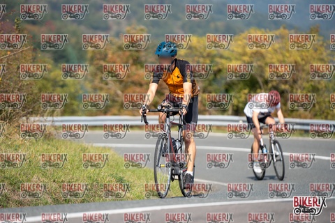 Passo della Futa E 11-10-25 h12-19 0800