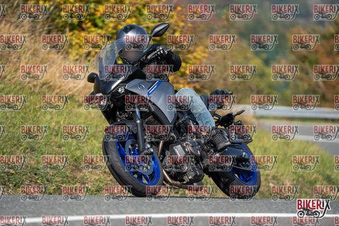 Passo della Futa E 11-10-25 h12-19 0811