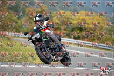 Passo della Futa E 11-10-25 h12-20 0819