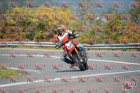 Passo della Futa E 11-10-25 h12-21 0833