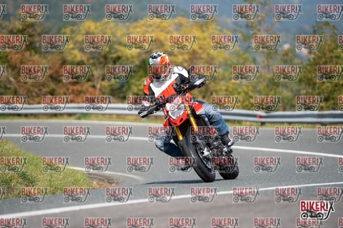 Passo della Futa E 11-10-25 h12-21 0835