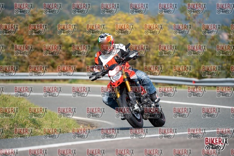 Passo della Futa E 11-10-25 h12-21 0836