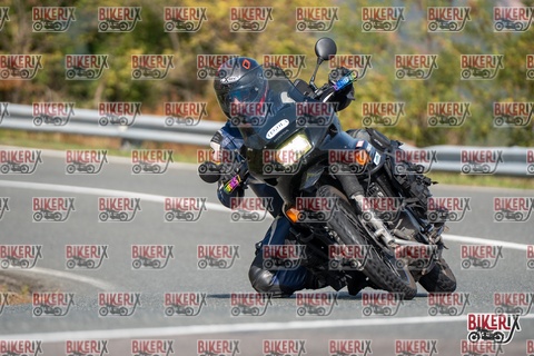 Passo della Futa E 11-10-25 h12-23 0842