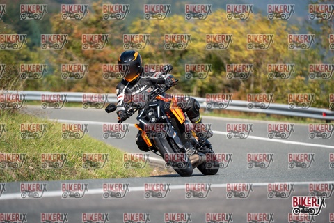 Passo della Futa E 11-10-25 h12-23 0845