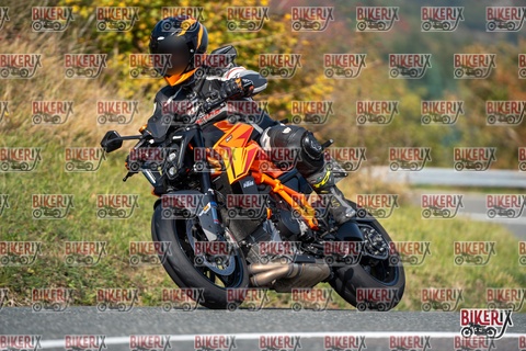 Passo della Futa E 11-10-25 h12-23 0848