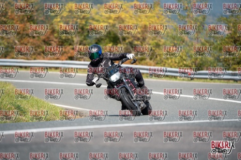 Passo della Futa E 11-10-25 h12-23 0849