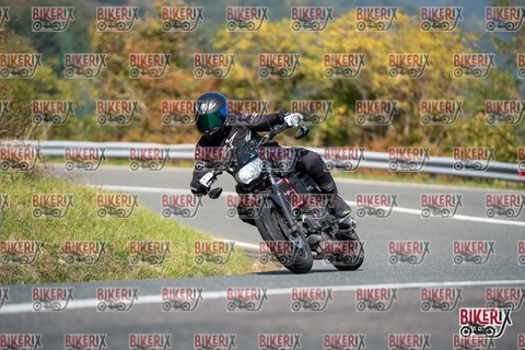 Passo della Futa E 11-10-25 h12-23 0851