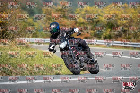 Passo della Futa E 11-10-25 h12-23 0852