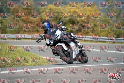 Passo della Futa E 11-10-25 h12-24 0859