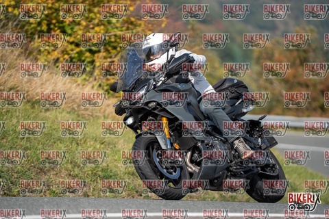 Passo della Futa E 11-10-25 h12-24 0865