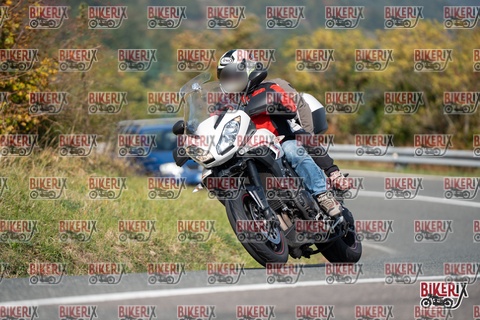 Passo della Futa E 11-10-25 h12-24 0869