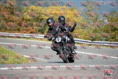 Passo della Futa E 11-10-25 h12-24 0871