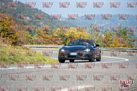 Passo della Futa E 11-10-25 h12-24 0873