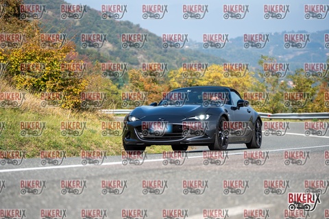 Passo della Futa E 11-10-25 h12-24 0875