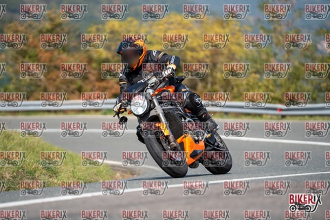 Passo della Futa E 11-10-25 h12-27 0891