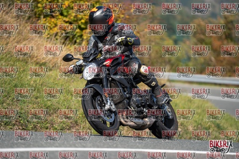 Passo della Futa E 11-10-25 h12-28 0909