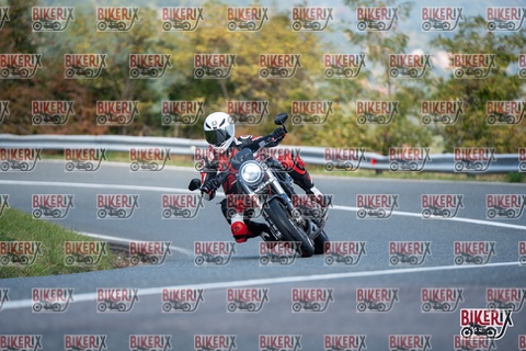 Passo della Futa E 11-10-25 h12-29 0916