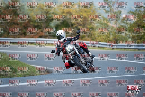 Passo della Futa E 11-10-25 h12-29 0917