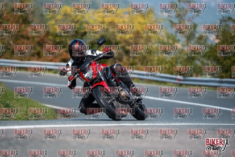 Passo della Futa E 11-10-25 h12-32 0931