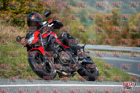 Passo della Futa E 11-10-25 h12-32 0934