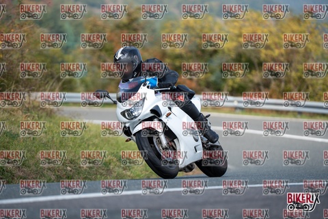 Passo della Futa E 11-10-25 h12-32 0937