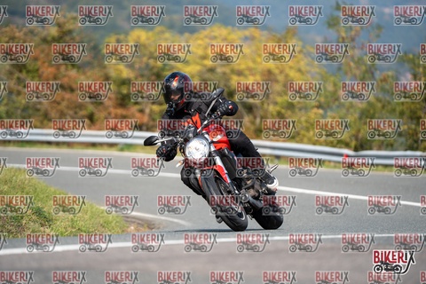 Passo della Futa E 11-10-25 h12-38 0982