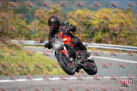 Passo della Futa E 11-10-25 h12-38 0984