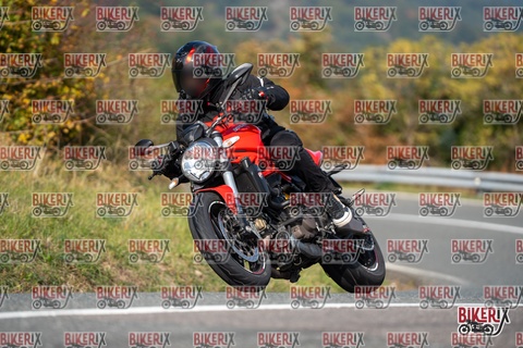 Passo della Futa E 11-10-25 h12-38 0985