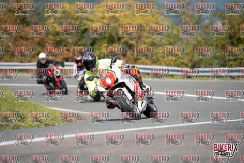 Passo della Futa E 11-10-25 h12-43 0994