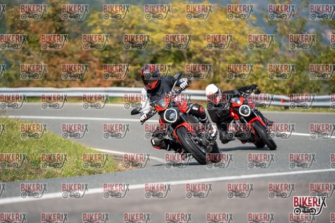 Passo della Futa E 11-10-25 h12-43 0995