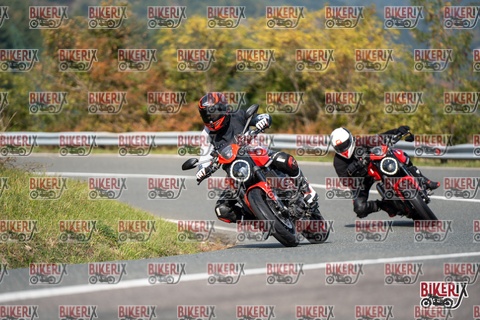 Passo della Futa E 11-10-25 h12-43 0996