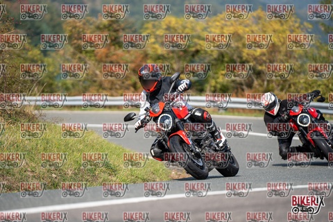 Passo della Futa E 11-10-25 h12-43 0997