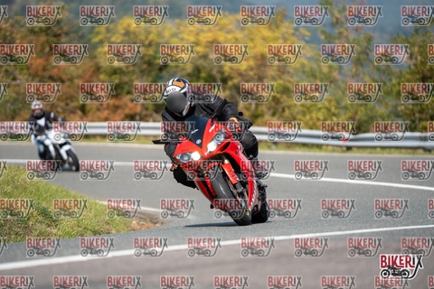 Passo della Futa E 11-10-25 h12-44 1019