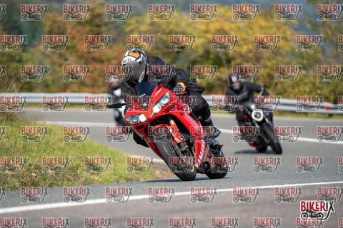 Passo della Futa E 11-10-25 h12-44 1021