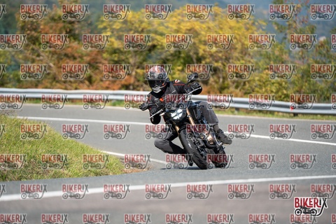 Passo della Futa E 11-10-25 h12-45 1031