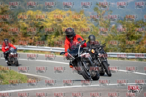 Passo della Futa E 11-10-25 h12-51 1091