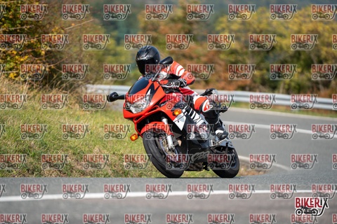 Passo della Futa E 11-10-25 h12-51 1102